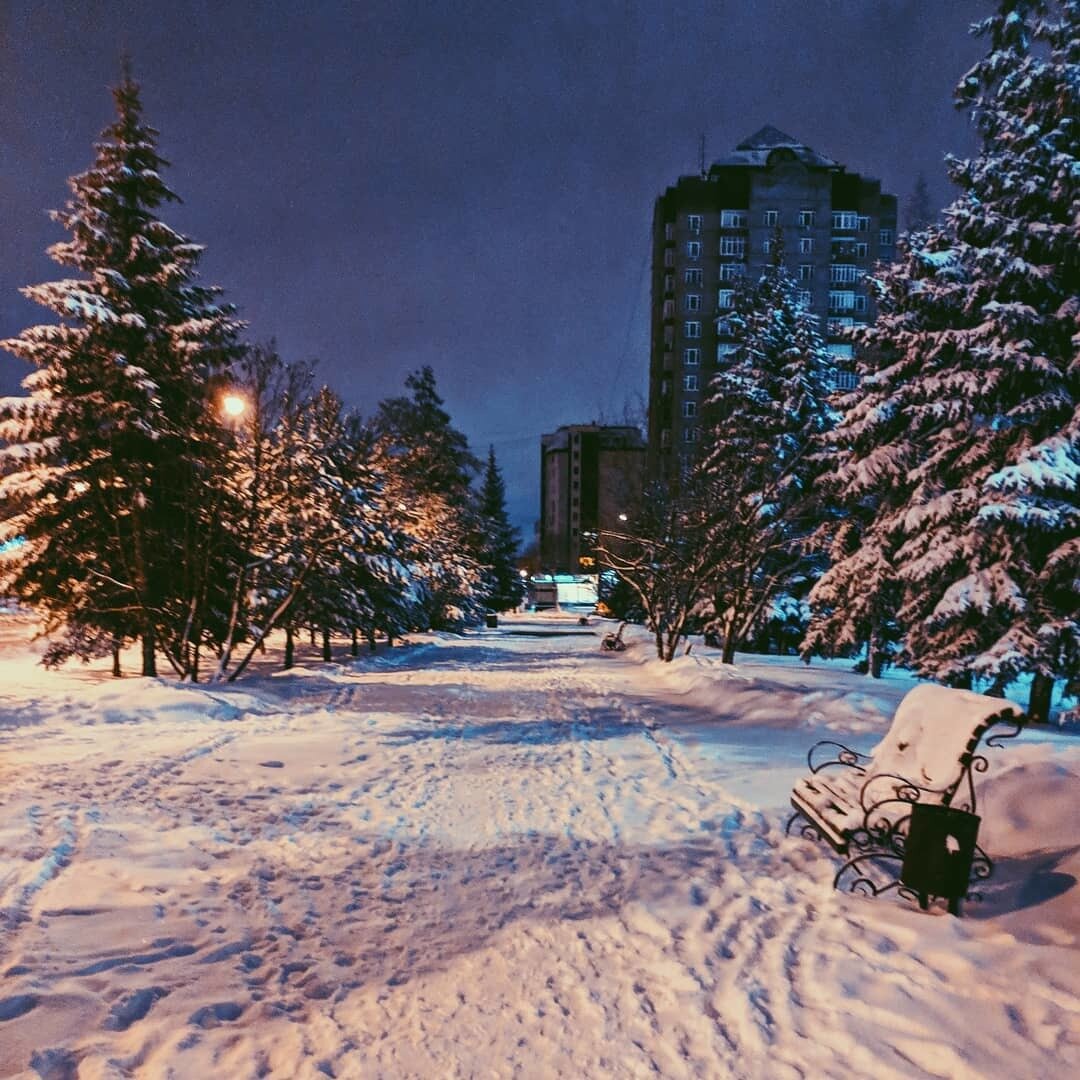 Хокку дня #25