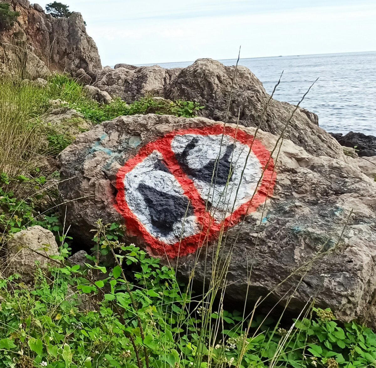 Ответ на пост «А ты тоже любишь загорать (и не только загорать) на нудике? ;)»