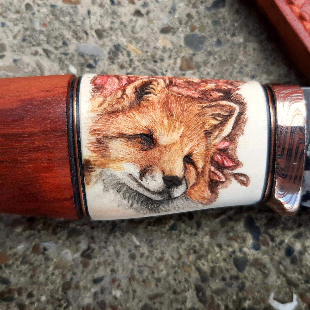Лис и кабан