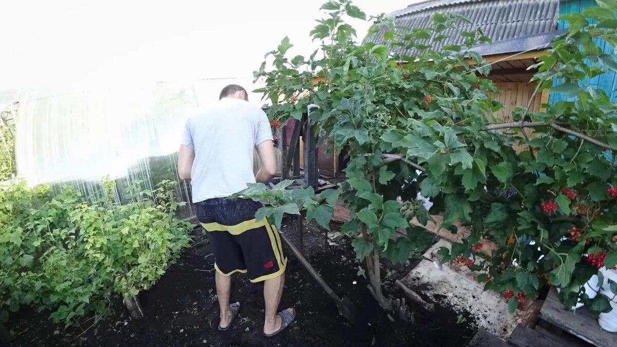 Укладка тротуарной плитки. Благоустройство зоны отдыха