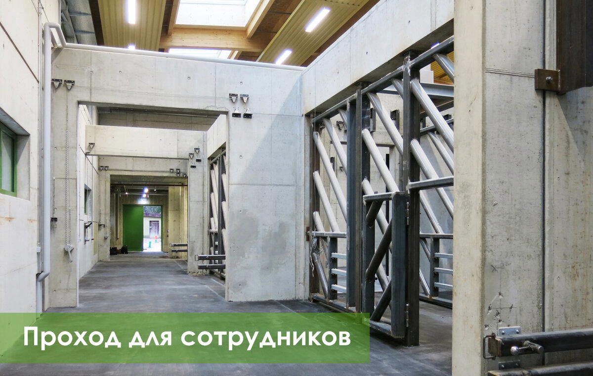 Зоопарки Европы | Elefantenhaus Augsburg