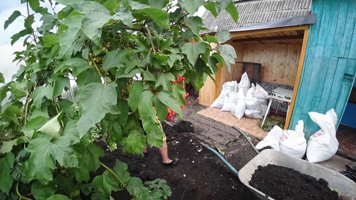 Укладка тротуарной плитки. Благоустройство зоны отдыха