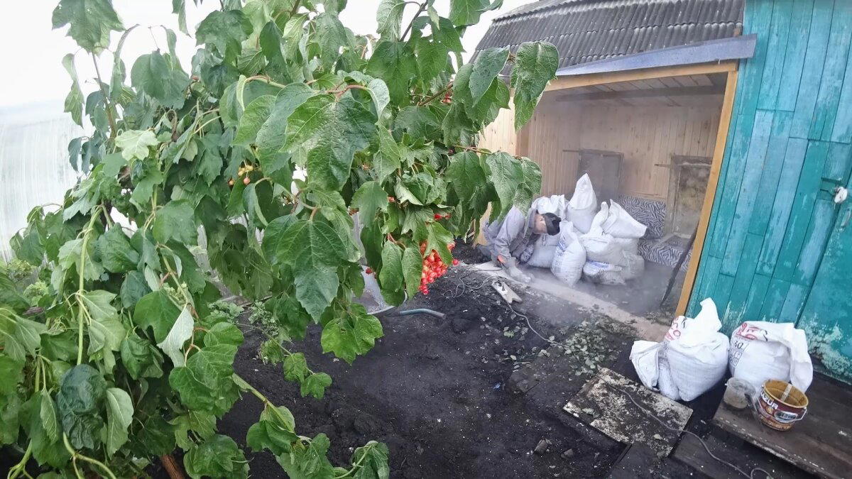 Укладка тротуарной плитки. Благоустройство зоны отдыха