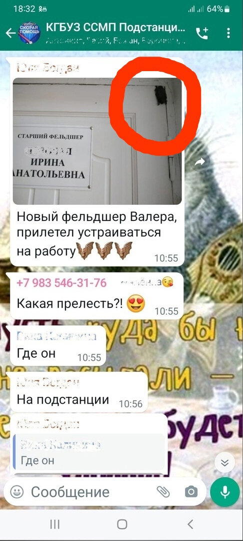 Зимовка летучих мышей в холодильнике - как это?