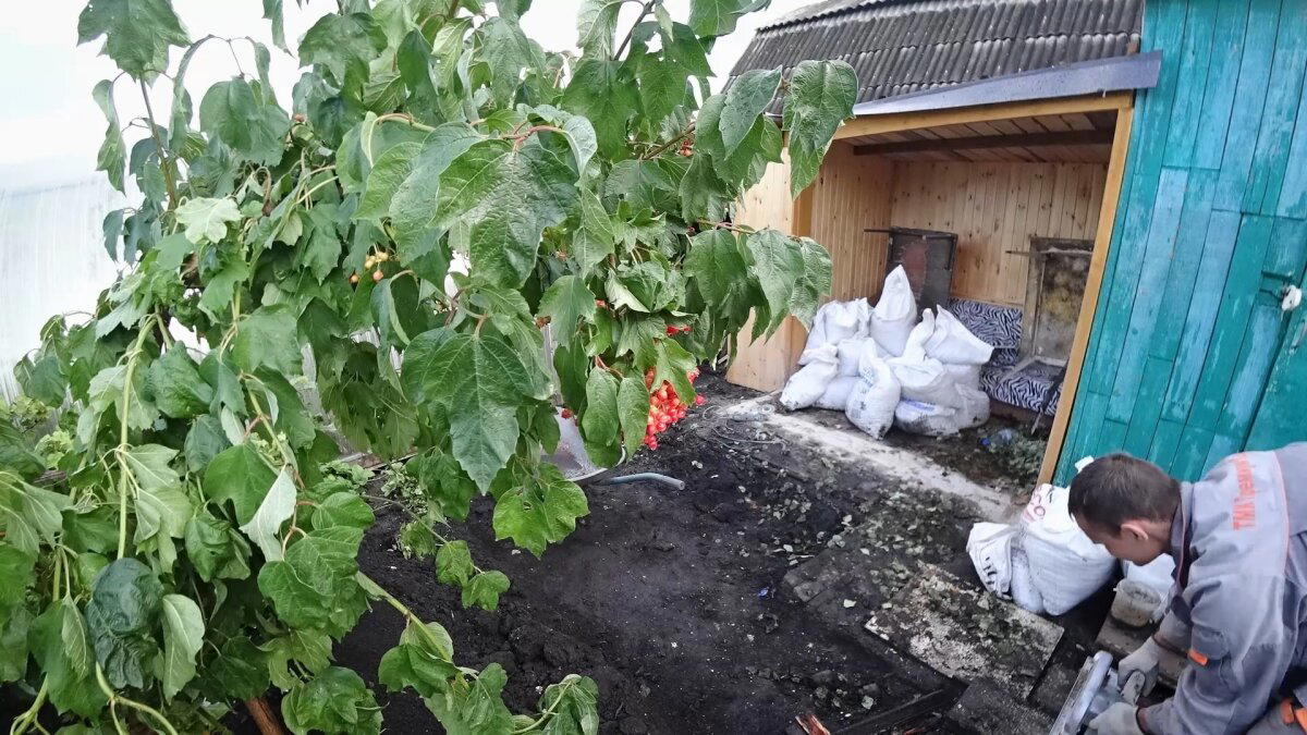 Укладка тротуарной плитки. Благоустройство зоны отдыха