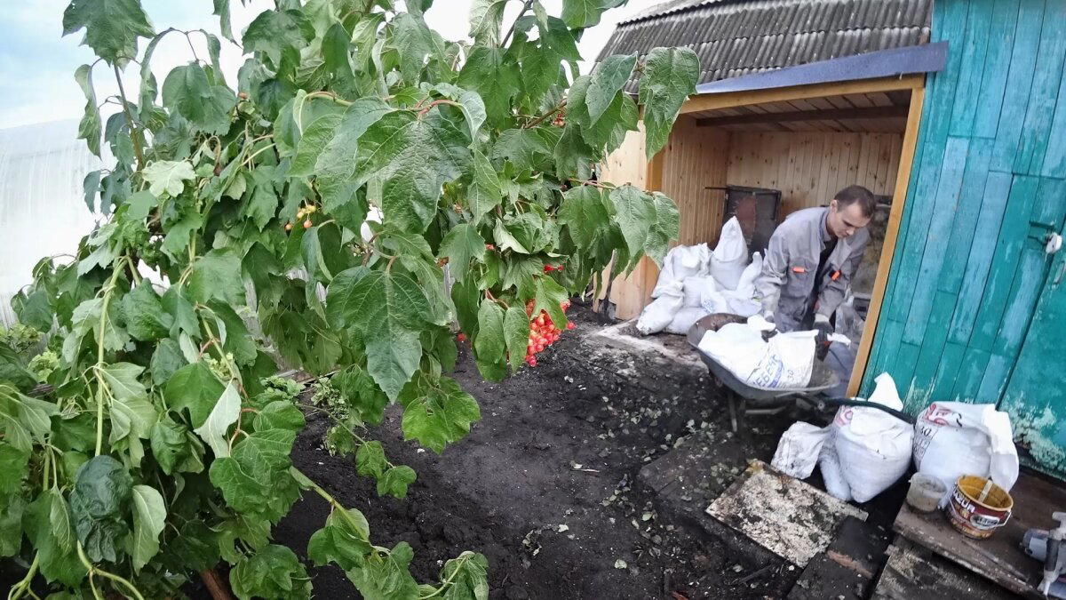 Укладка тротуарной плитки. Благоустройство зоны отдыха