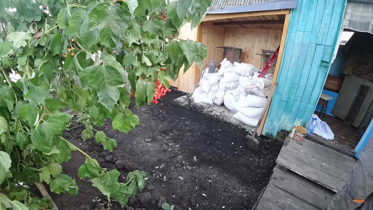 Укладка тротуарной плитки. Благоустройство зоны отдыха