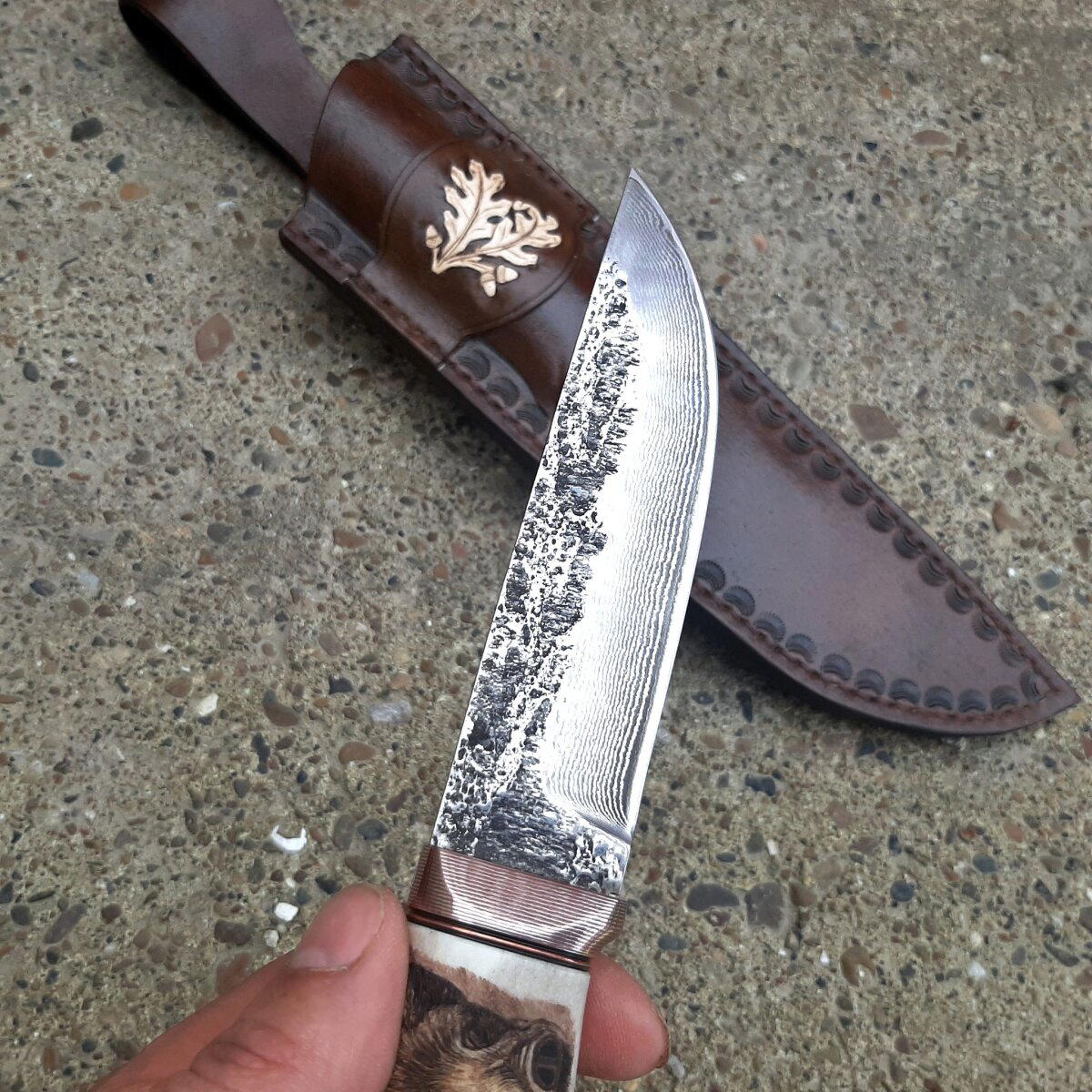 Лис и кабан