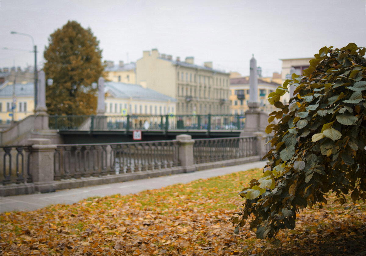 Красногвардейский мост