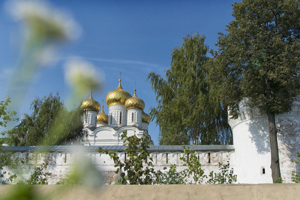 Кострома