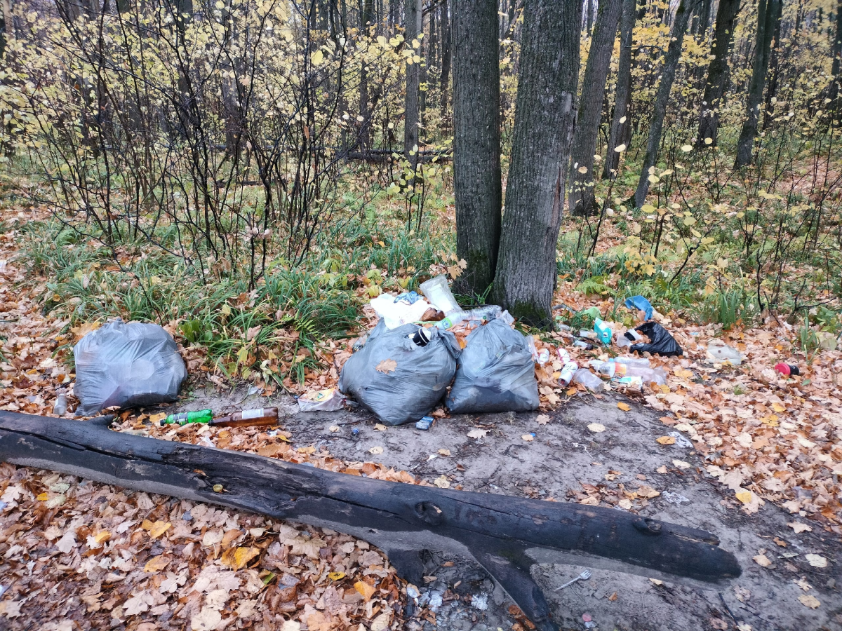 Я в Чебоксарах