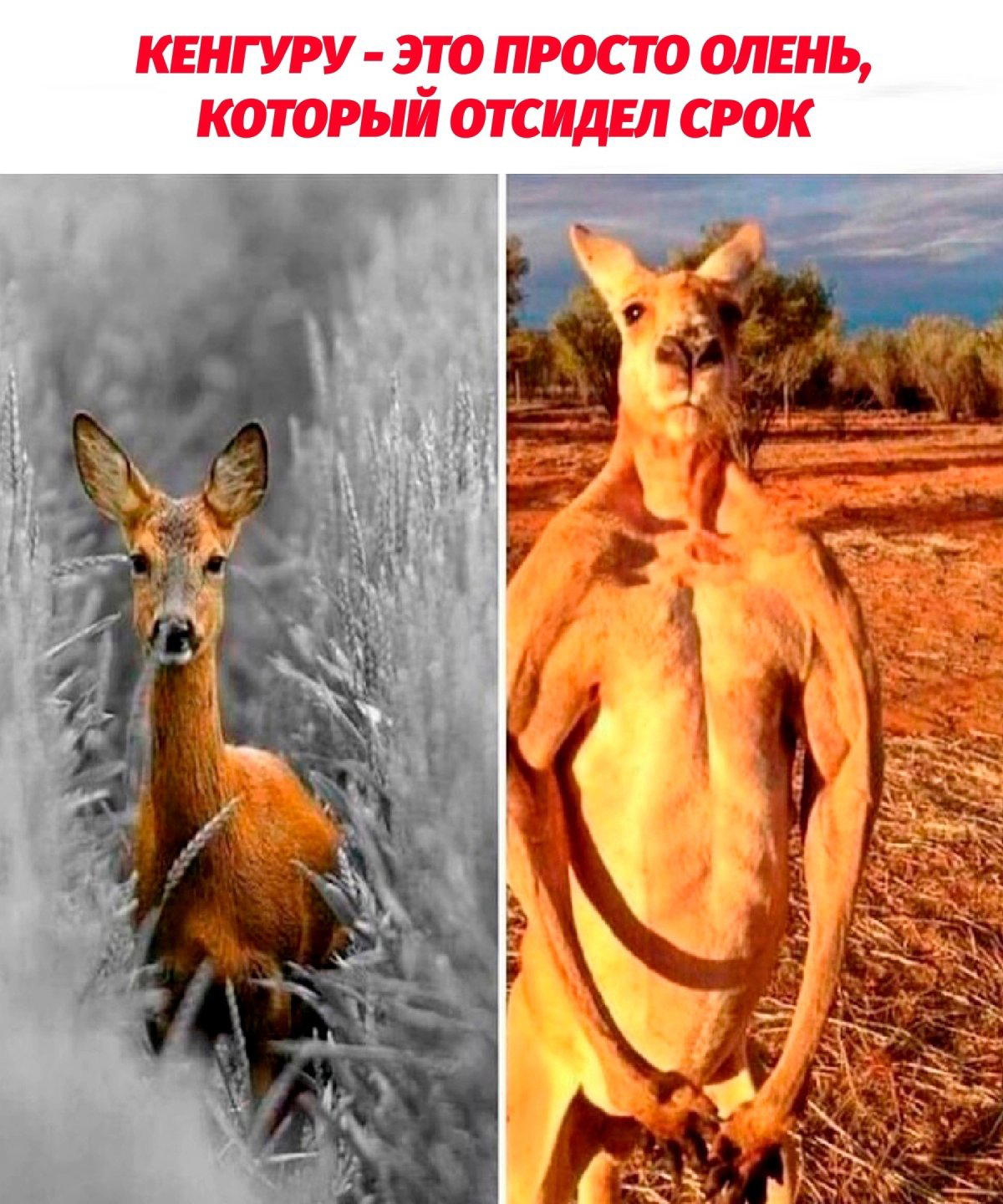 Каплю позитива вам