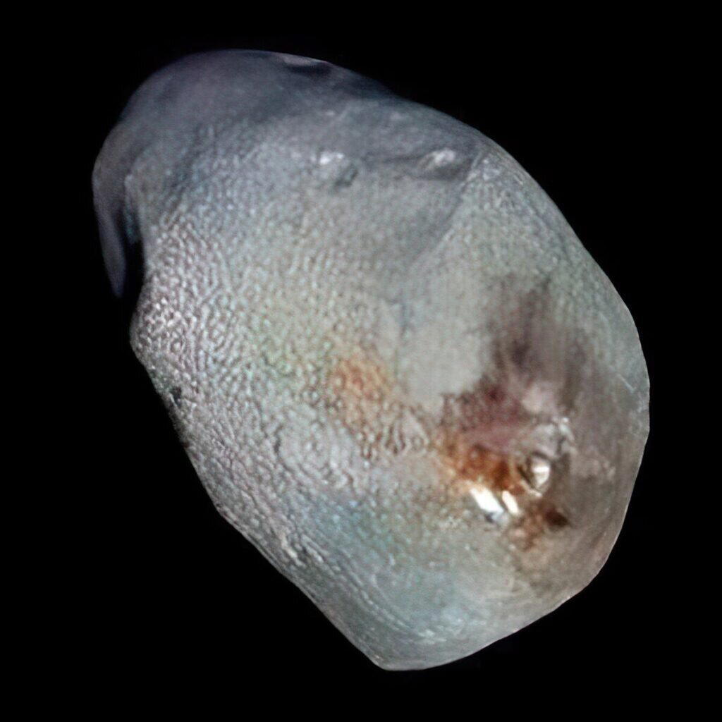 Улучшенное изображение Никты в примерно естественных цветах / © NASA/TheSpaceway