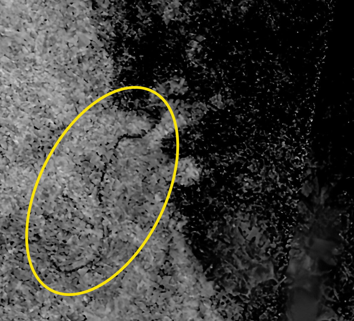 Река, впадающая в озеро Онтарио / © NASA/JPL-Caltech/ASI