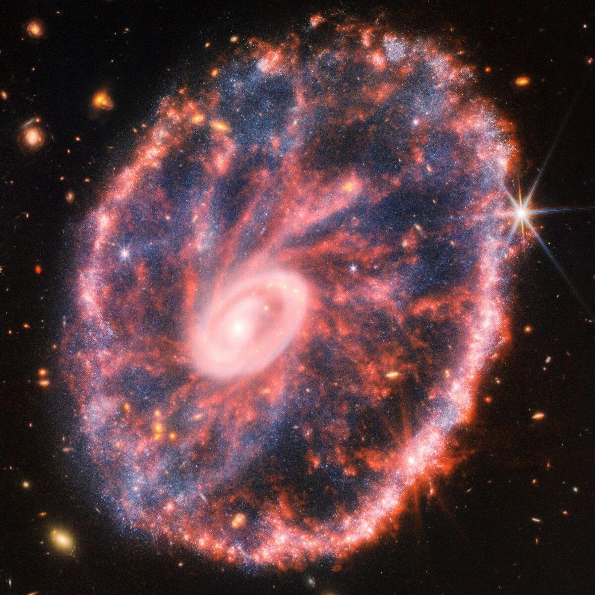 Галактика Колесо Телеги (ESO 350-40), расположенная в созвездии Скульптора. Это составное изображение было создано путем объединения данных с двух инструментов космического телескопа "Джеймс Уэбб" — детекторов NIRCam и MIRI / © NASA, ESA, CSA, STScI