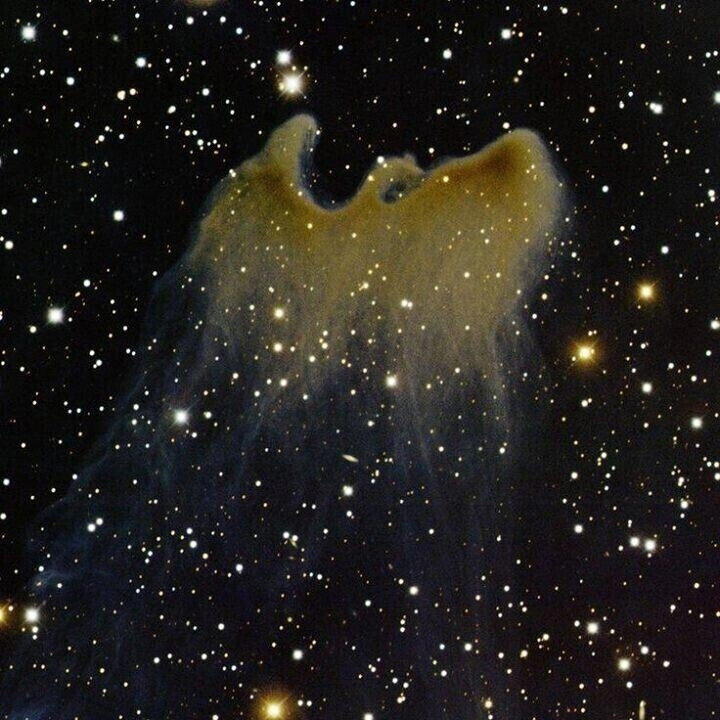 © NASA