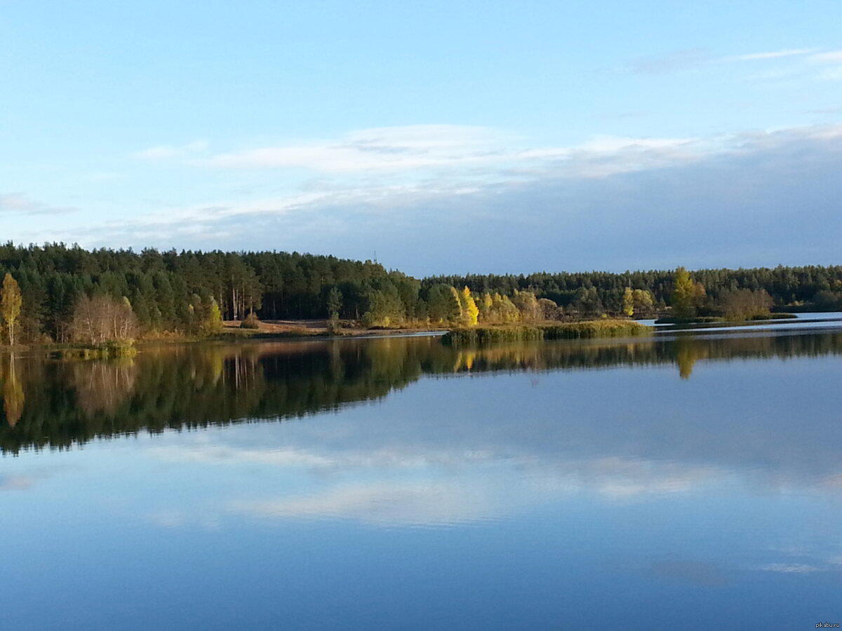 Красота