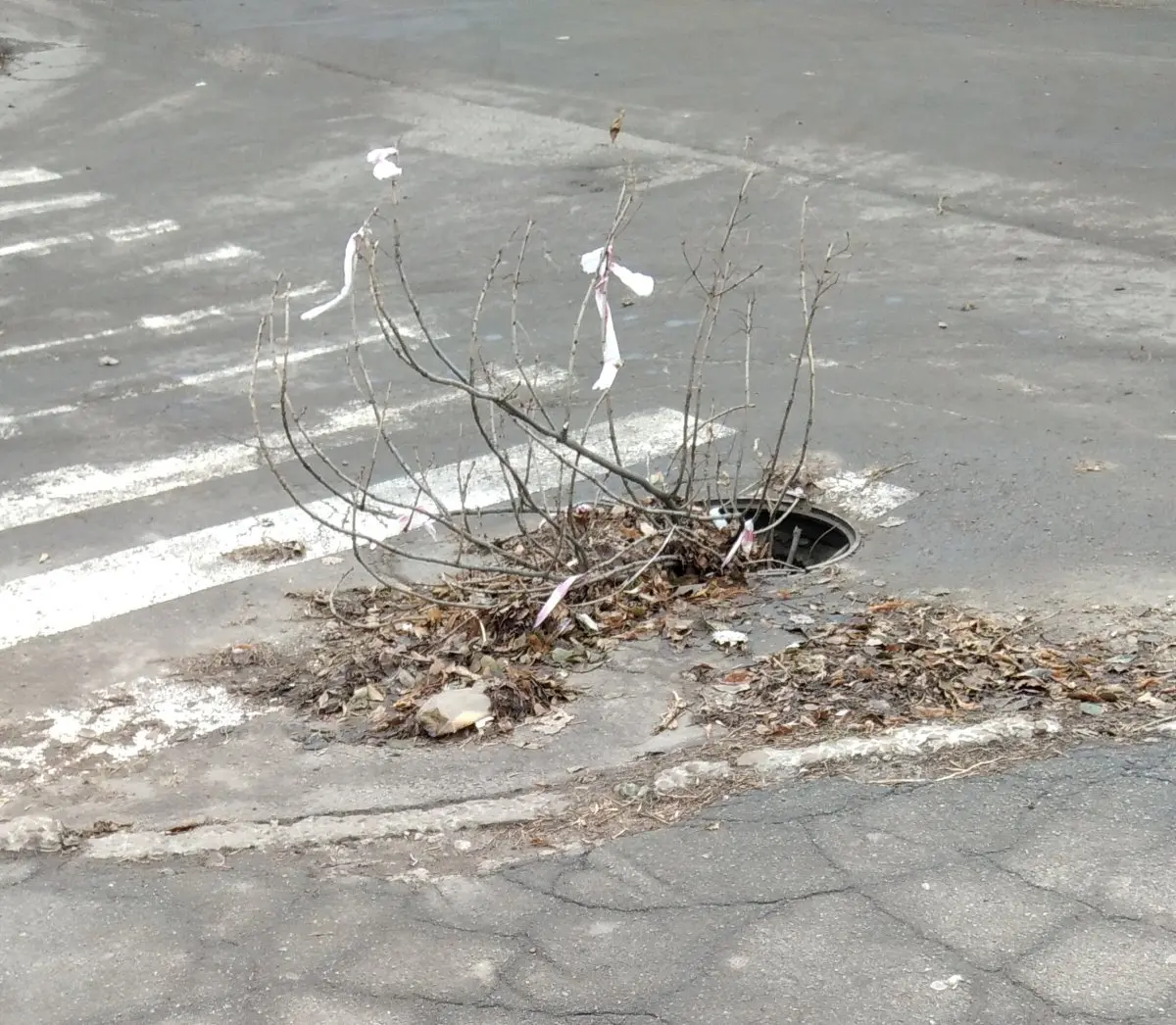Достопримечательность