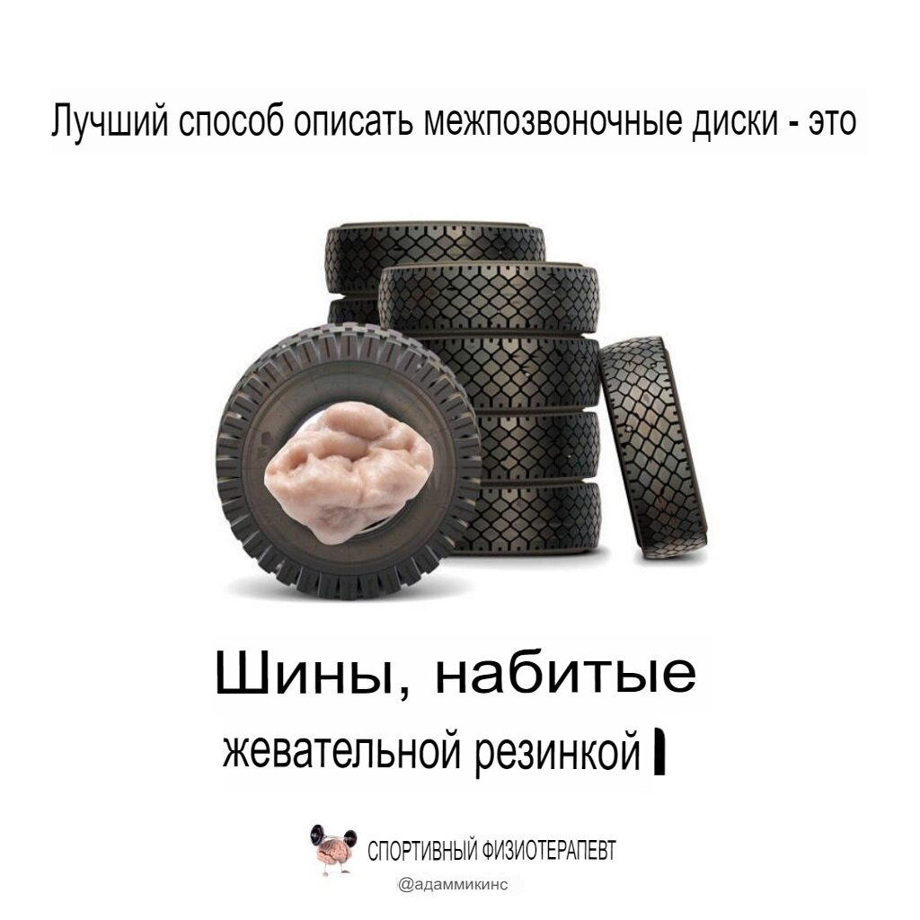 Про межпозвонковые диски
