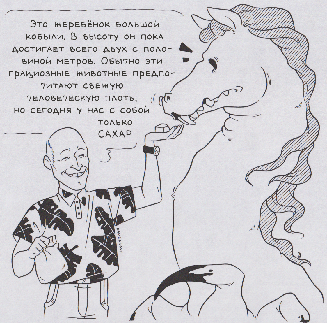 В мире... животных