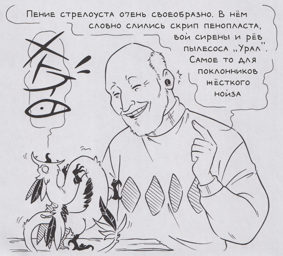 В мире... животных
