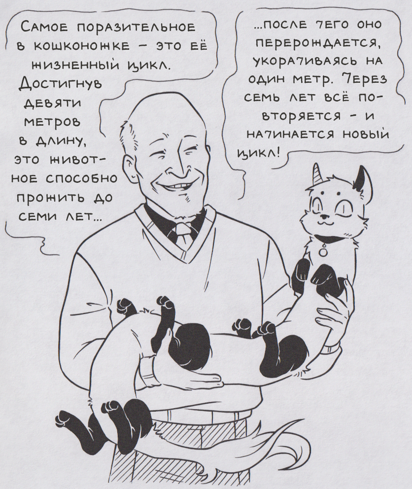 В мире... животных