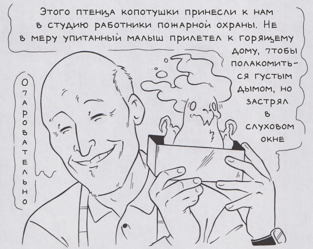 В мире... животных