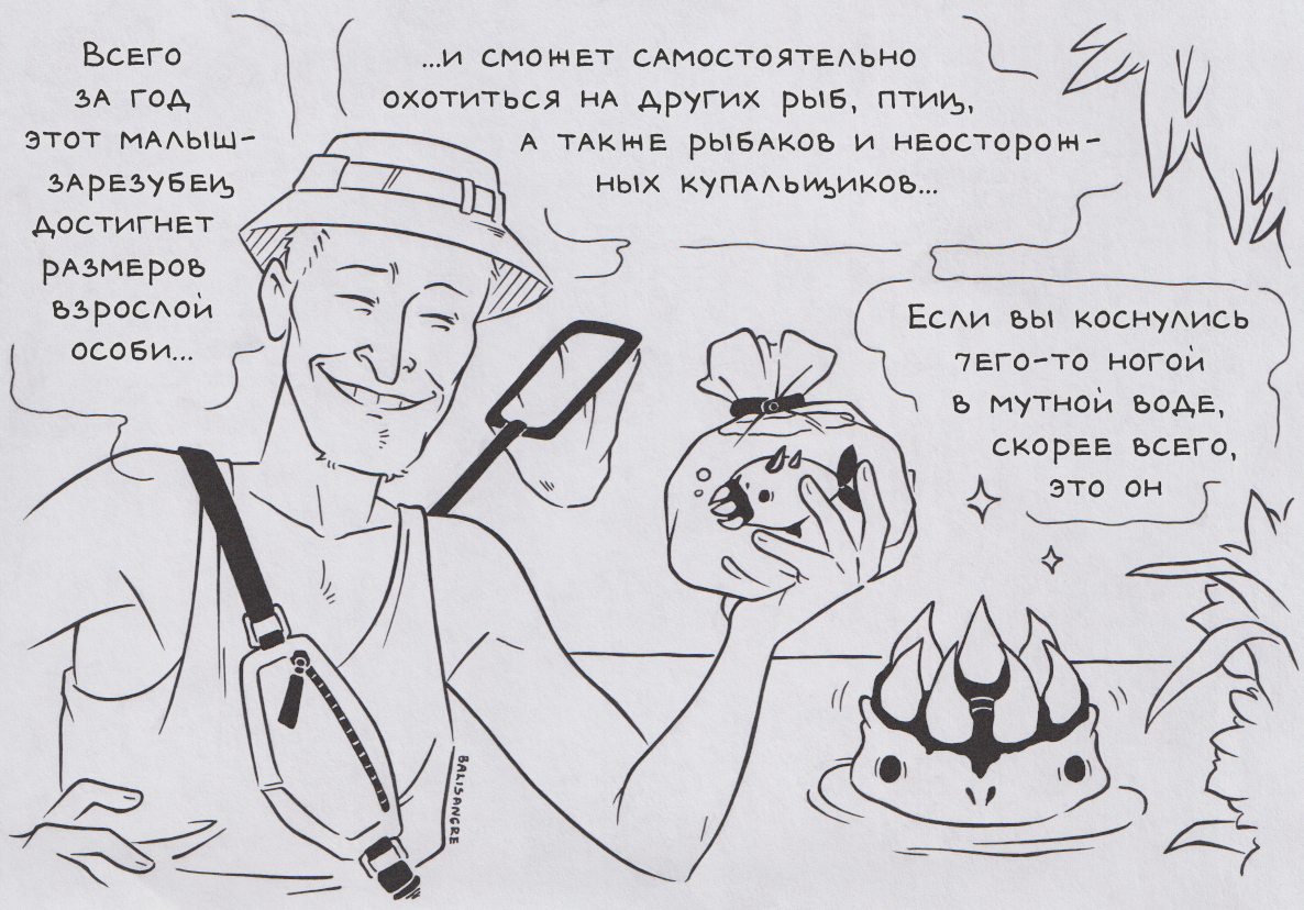 В мире... животных