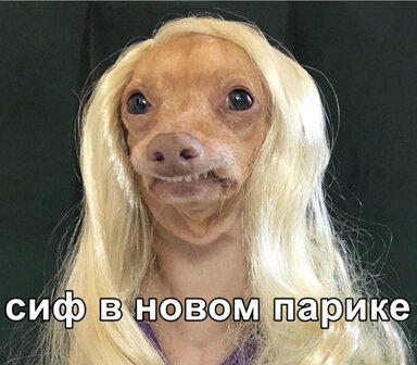 Скандинавская мифология. Локи