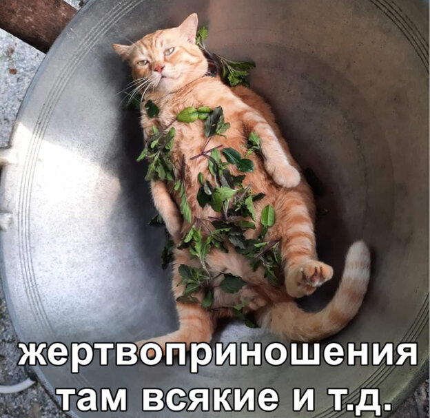 Скандинавская мифология. Кто есть кто