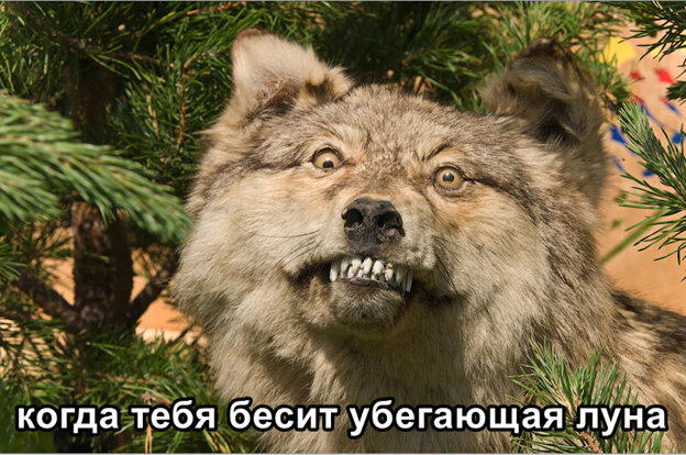 Скандинавская мифология. Обустройство мира