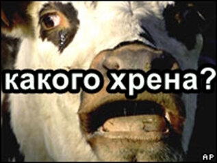 Скандинавская мифология. Сотворение мира