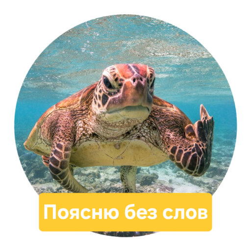 Стикеры с Comedy wildlife awards