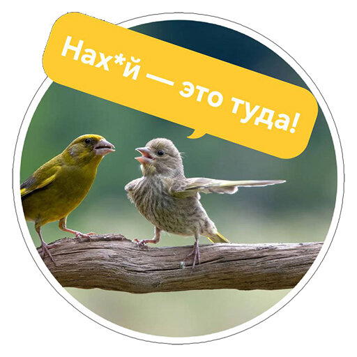 Стикеры с Comedy wildlife awards