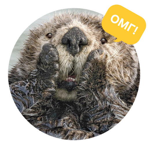 Стикеры с Comedy wildlife awards