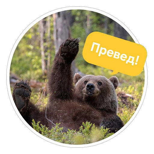 Стикеры с Comedy wildlife awards