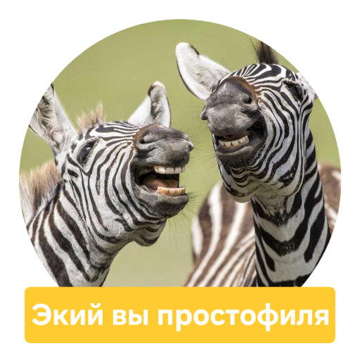 Стикеры с Comedy wildlife awards