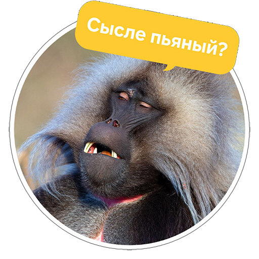 Стикеры с Comedy wildlife awards