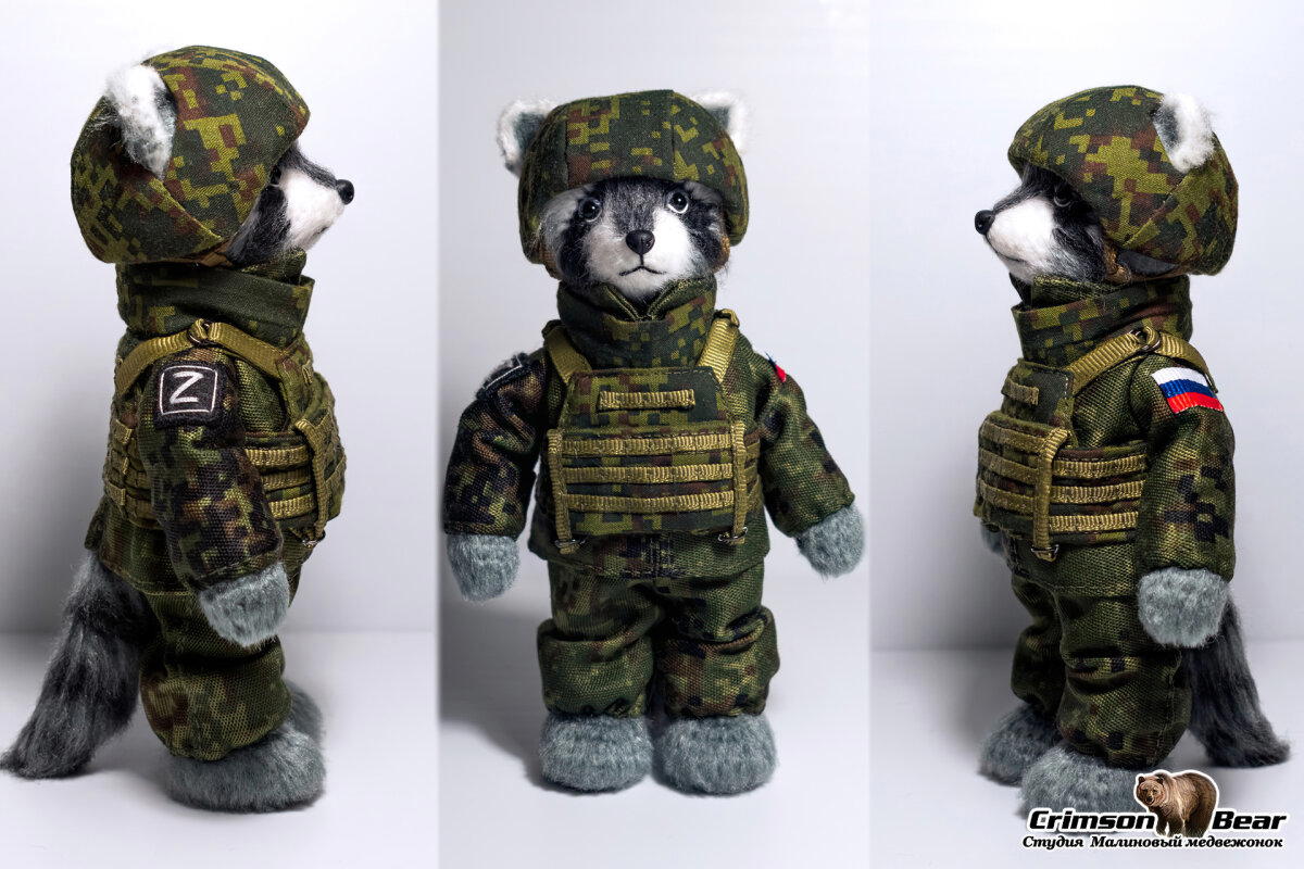 Енот в военной форме