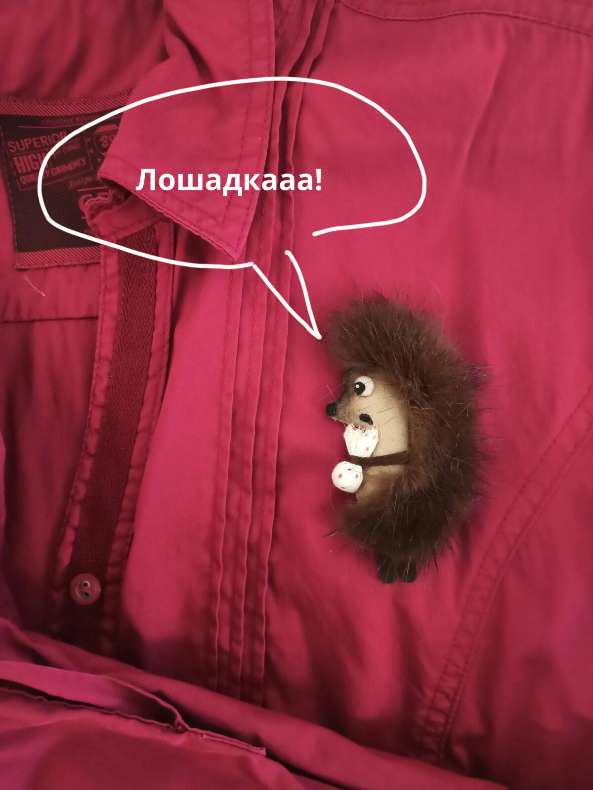 Ежовой классики вам в ленту!