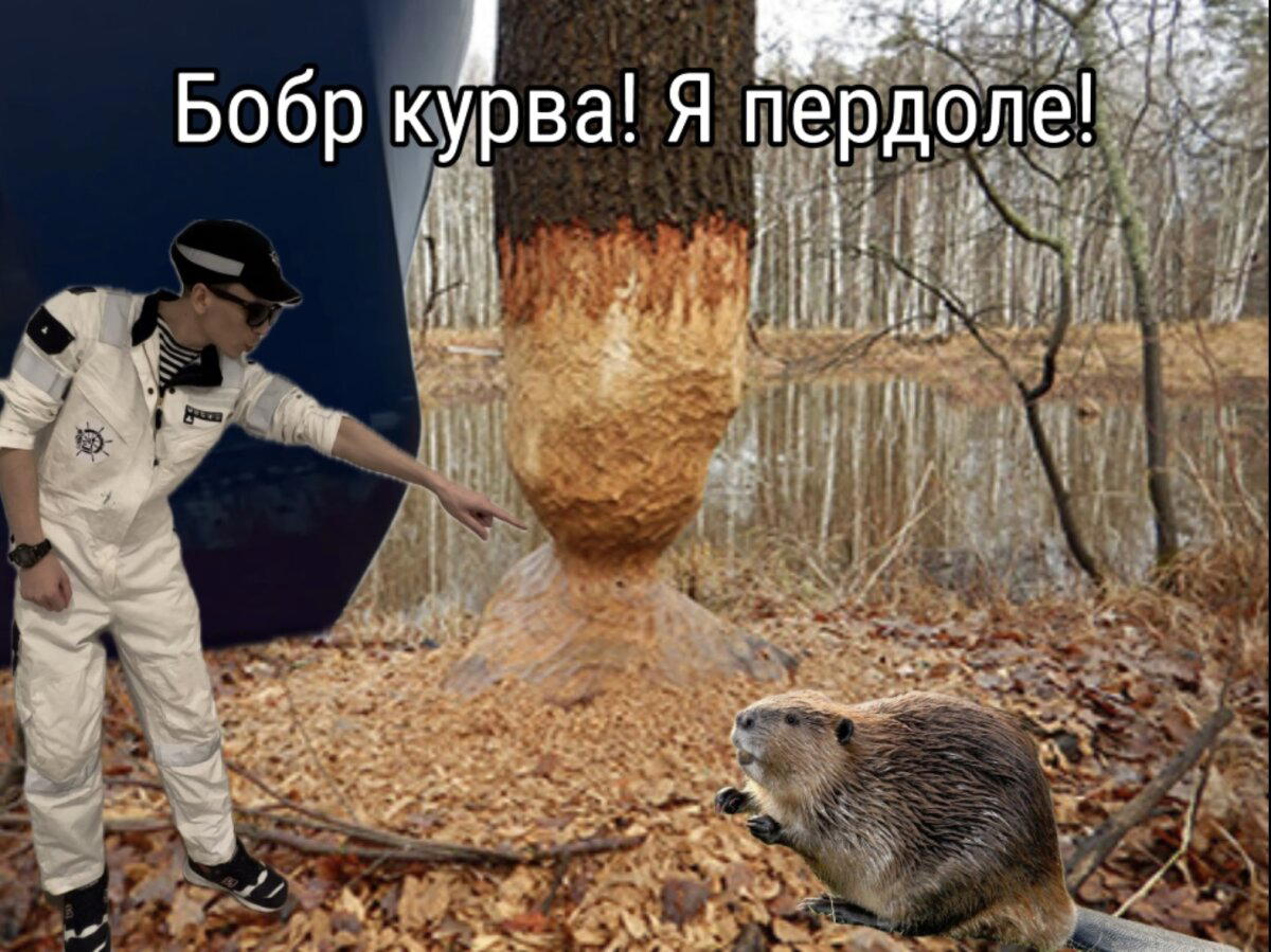 Продолжение поста «Какого размера должен быть слон, что бы заполнить танкер-газовоз одним пуком?»⁠⁠