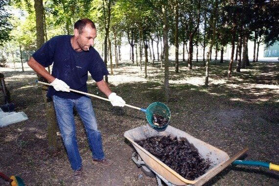 Фотографии из Испании во время последней чумы полёвок. То, что в тачке — остатки грызунов.