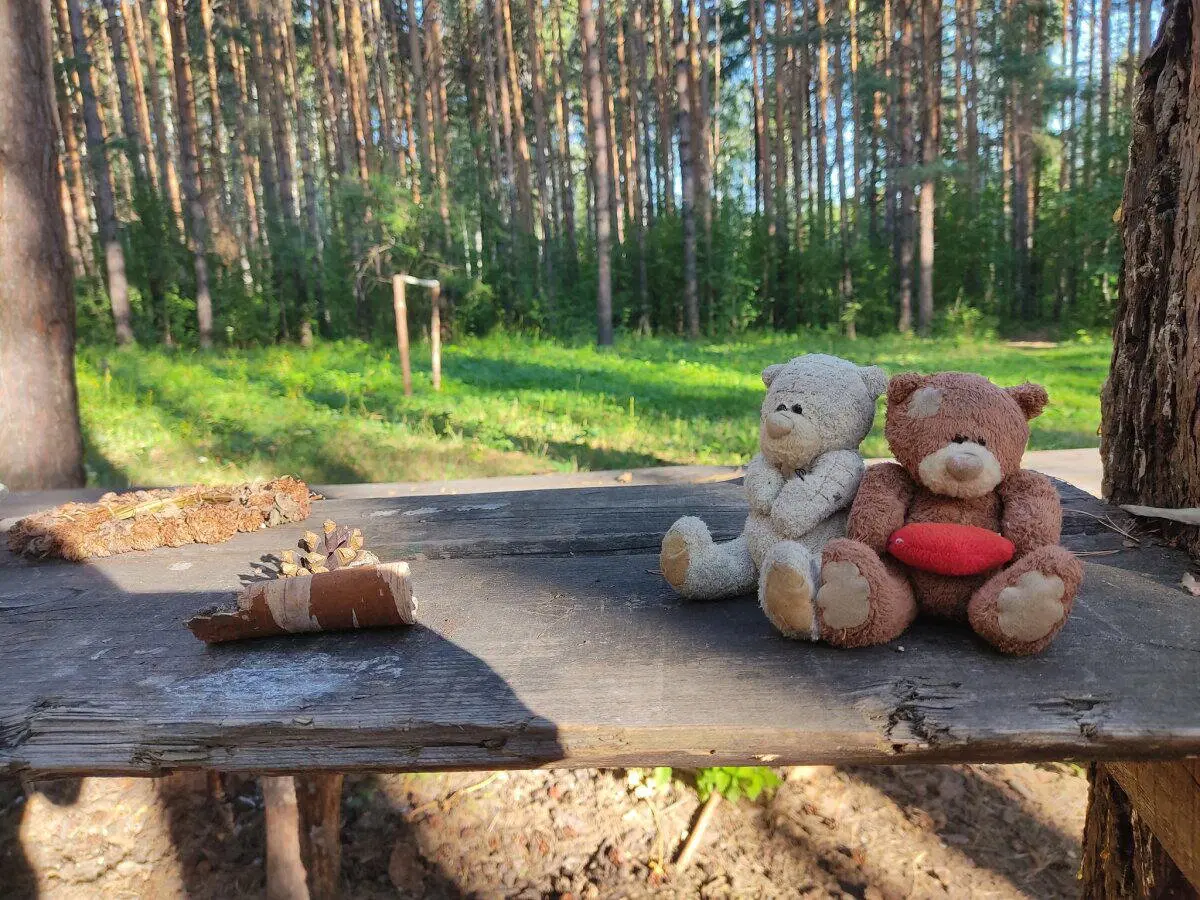 Мишки для отвлечения внимания. Сфотографировала, гуляя на Каменных палатках