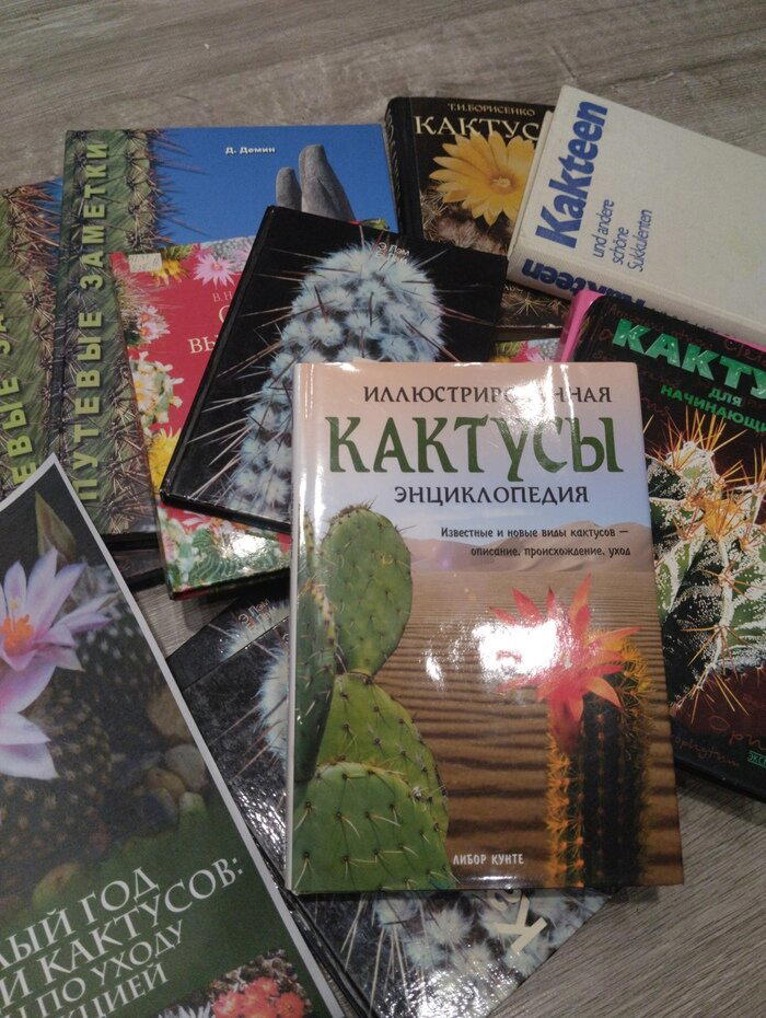 Обзоры книг про кактусы