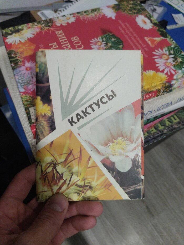 Обзоры книг про кактусы