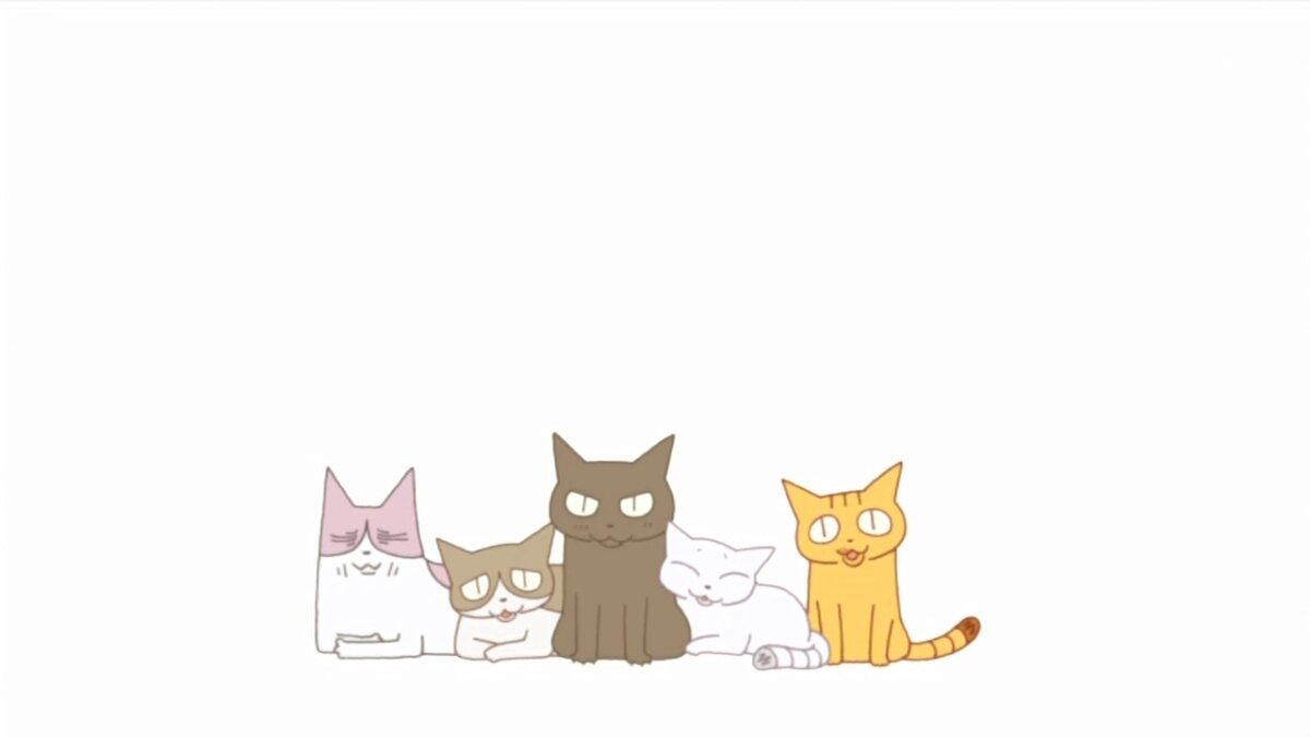 Я посмотрела все* аниме про котиков и готова о них вам рассказать**