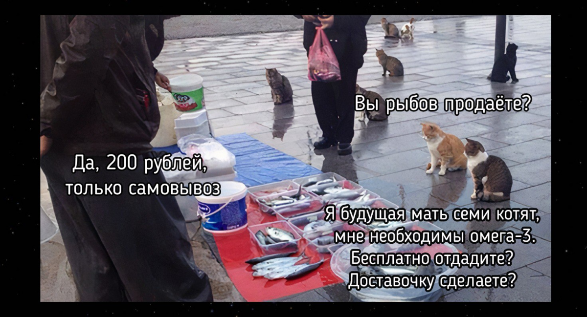 Влияние Омега-3 на потомство