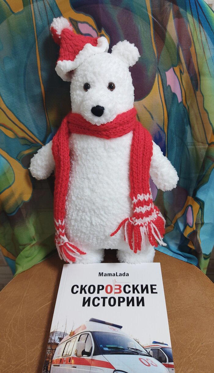 Мишка на севере