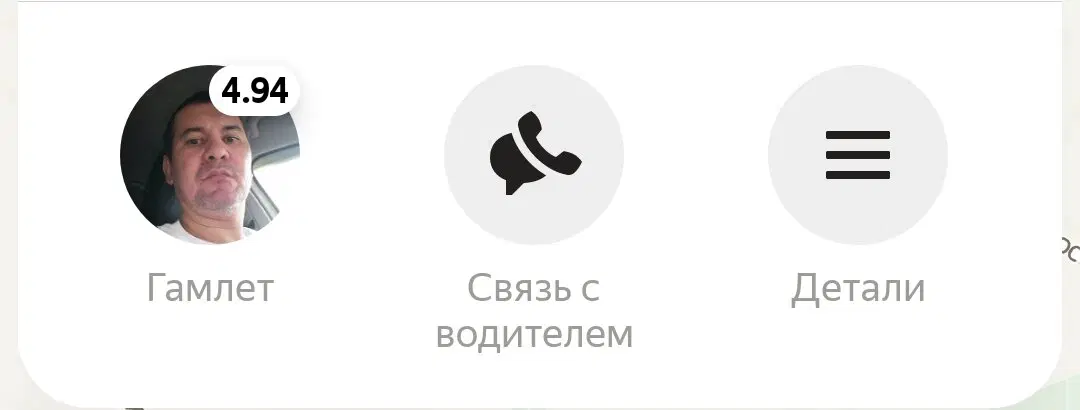 Когда ты принц датский, но таксуешь для души