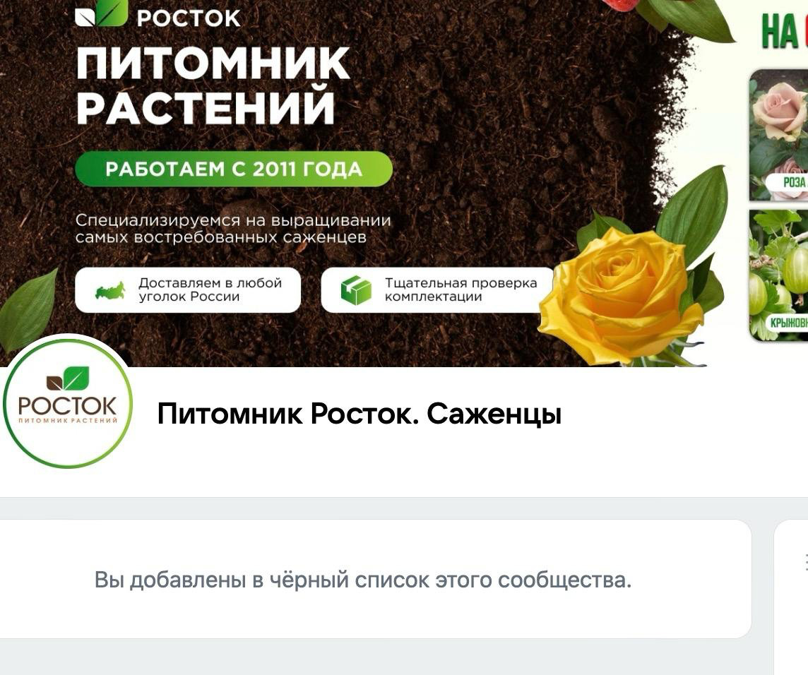Предостережение для розолюбов! Питомник-мошенник Росток